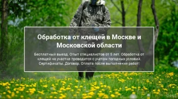 Клининговая компания Белый Кит изображение 13